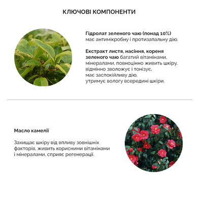 Очищающая пенка с зеленым чаем Benton Green Tea Foam, Миниатюра 25г Купить в официальном магазине Украине