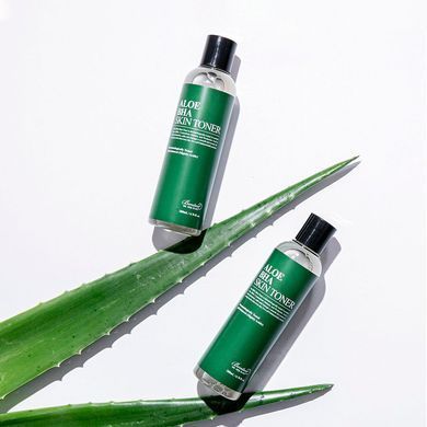 Тонер алоэ с салициловой кислотой Benton Aloe BHA Skin Toner, 200 мл Купить в официальном магазине Украине